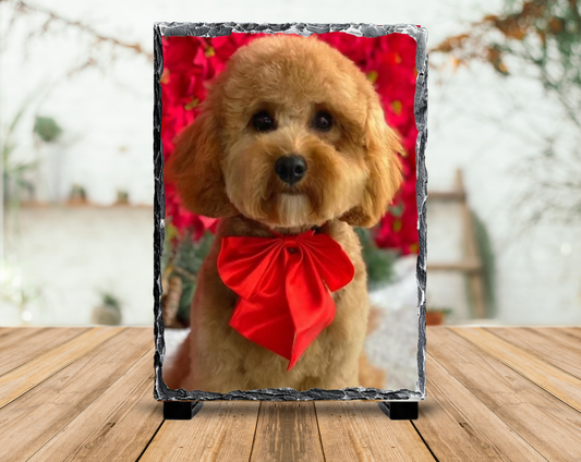 Glossy Portrait Photo Slate 20cm x 15cm